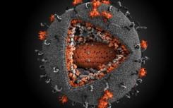 新发现的HIV基因组修饰可能会对疫苗和药物设计产生影响