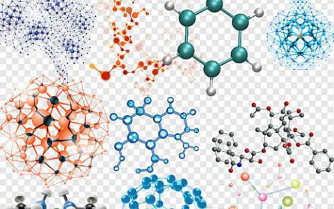 蛋白质显示为胶水 将生物分子保持在核仁内