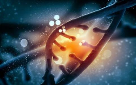 RNA修饰发现提出了控制基因表达的新代码