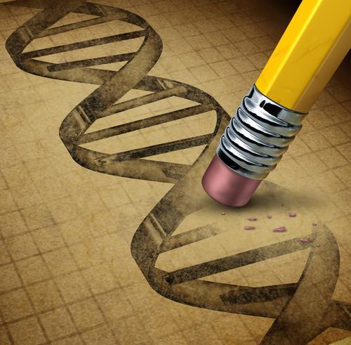 搜索技术帮助研究人员在几分钟而不是几天内找到DNA序列