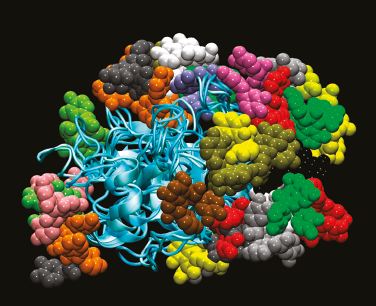 评估蛋白质药物的生物相似性 新研究显示方法的精确度