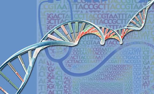 研究开发人类DNA病例的新法医学方法