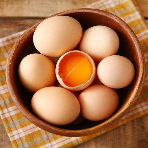 鸡蛋如何为胚胎发育储存燃料