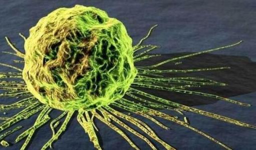 破坏细胞的供应链会冻结癌症病毒