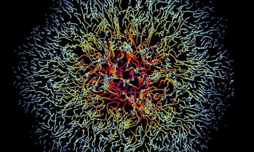 关于炎症和癌症的新研究 史前代码调节细胞运动