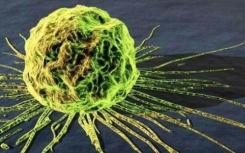 破坏细胞的供应链会冻结癌症病毒