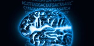 Neurocrine公司开发了旅行者基因治疗帕金森症的基因疗法