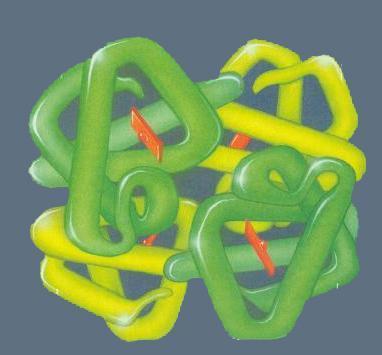 科学家们发现了数十亿年前已存在的蛋白质片段