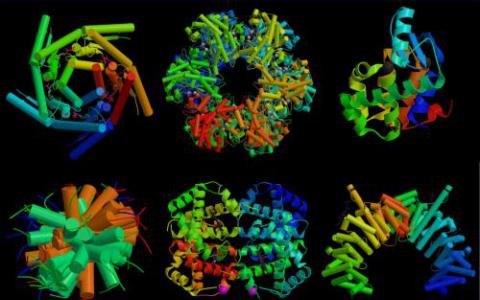 实验室团队第一次看到难以捉摸的蛋白质结构