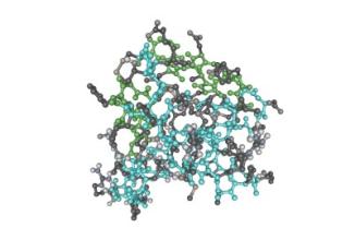 蛋白质因子将基因组以弓形为基础进行基因表达