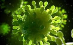 突破性的显微镜解锁了植物病毒组装的秘密