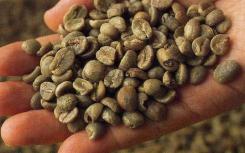 咖啡豆蛀虫如何在咖啡因中存活