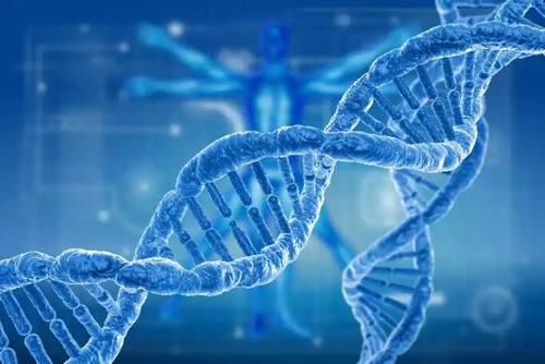 科学家们克服了关键的CRISPR-Cas9基因组编辑障碍