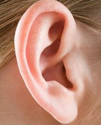 发育中耳朵中的细胞如何练习听力