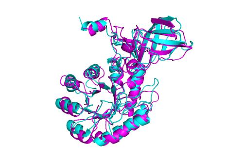 对蛋白质结构的新见解可能会改变生物医学的未来