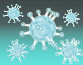 研究人员说 古代病毒分子对人类发育至关重要
