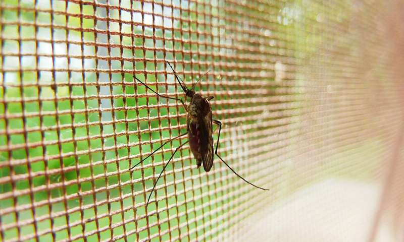 基因组科学家开发了研究广泛形式疟疾的新方法