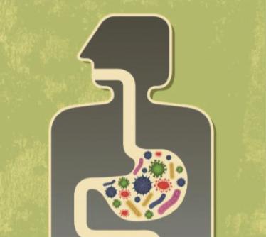 在人类微生物组中发现了100多种新的肠道细菌
