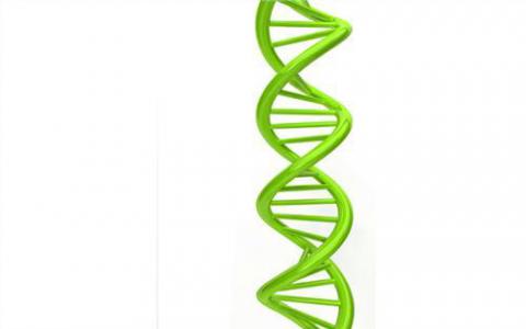 DNA方法揭示了生命的网络