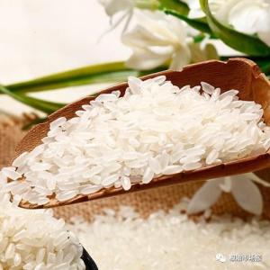 高蛋白大米带来价值营养