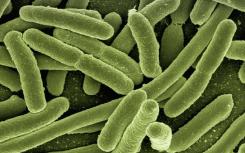 具有细菌和病毒新知识的潜在生物技术和健康应用