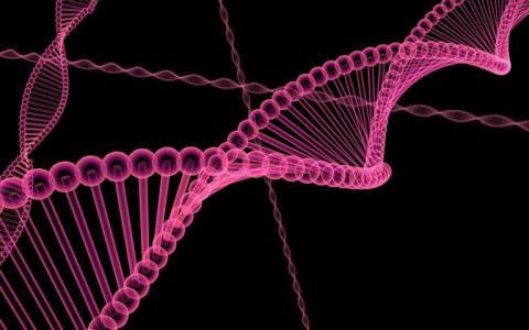 DNA工具可以让你追溯你的古老血统