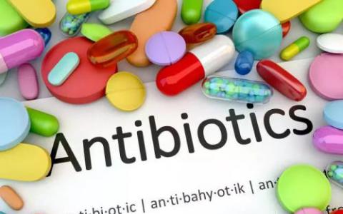 新策略可能会减少抗生素耐药性的传播