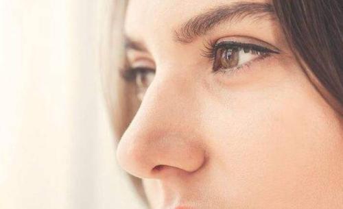 移动中的基因帮助鼻子理解气味