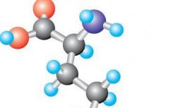 人体必需氨基酸 蛋氨酸 控制细胞生长计划