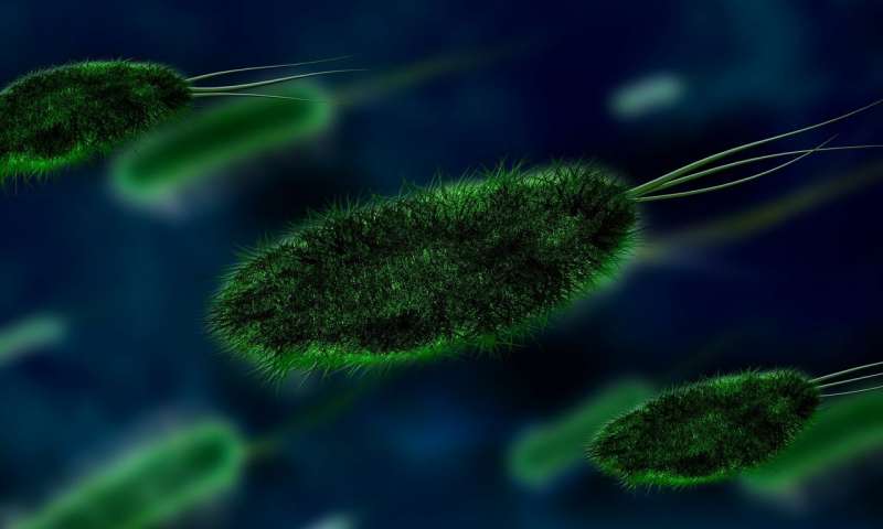 病原体困境细菌如何将自己推出一个紧密的地方