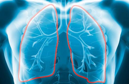 Alveoli发现可能为治疗肺部损伤提供新的机会