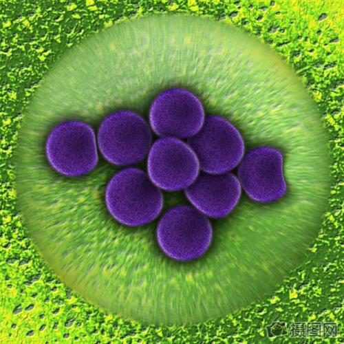 生物学家将窃听病毒变成细菌刺客