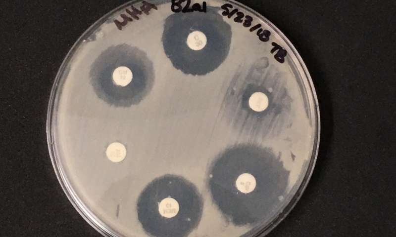 抗菌化学物质与尘埃中的抗生素抗性基因相关联