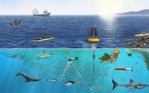 研究从极到极的海洋生物多样性