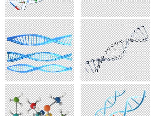 研究表明遗传物质的3D组织如何帮助物种长期存在