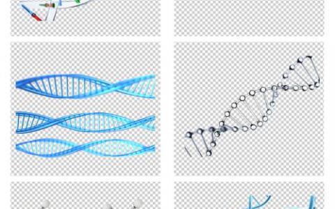 研究表明遗传物质的3D组织如何帮助物种长期存在