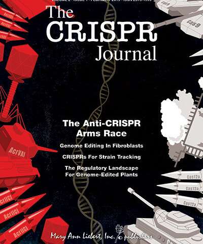 新策略提高了CRISPR-Cas9基因组编辑的效率