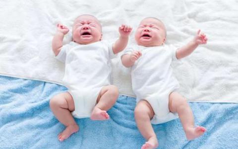 在中国出生的基因编辑双胞胎可能改变了认知和记忆