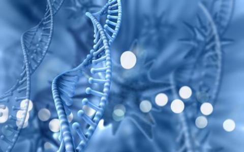 新的基因治疗方法为解决罕见的遗传性疾病创造了新的途径