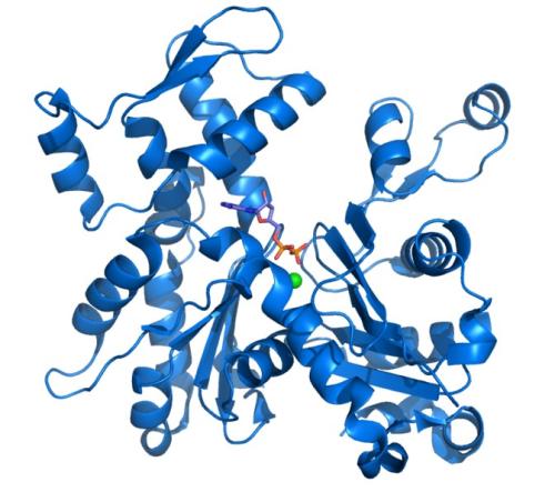 WDR5蛋白是何方神圣竟引得Celgene重仓TRPH-395