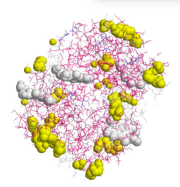 研究蛋白质RNA网络的新方法