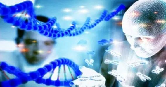 研究人员发现了有助于将我们定义为人类的基因的信息