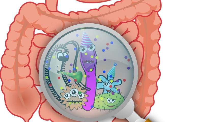 研究发现居住在人体肠道的细菌中有超过6000种抗生素抗性基因