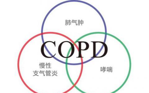 COPD抗炎策略中靶向炎症介质的小分子药物