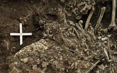 古老的瘟疫可能导致新石器时代欧洲人的衰落