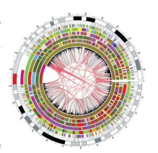 新的研究可以微调基因剪刀CRISPR