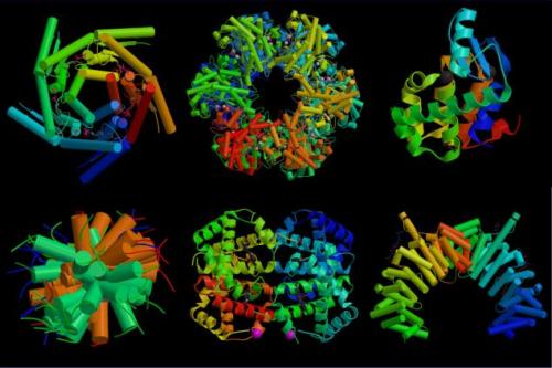 科学家发现了一种新的蛋白质转换