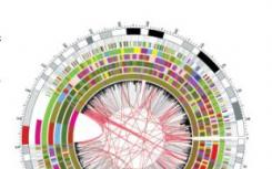 新的研究可以微调基因剪刀CRISPR