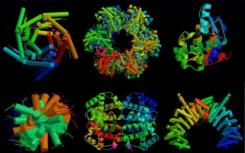 科学家发现了一种新的蛋白质转换