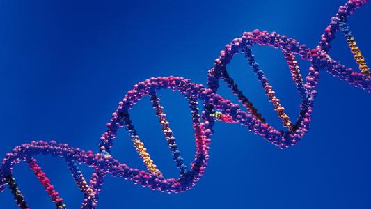 扭曲拉伸的DNA可能会增加CRISPR-Cas9脱靶变化的风险